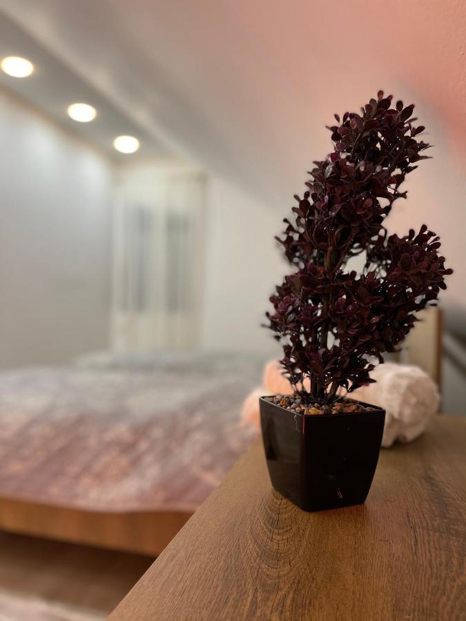 Luna Apartment Novi Pazar Exteriér fotografie