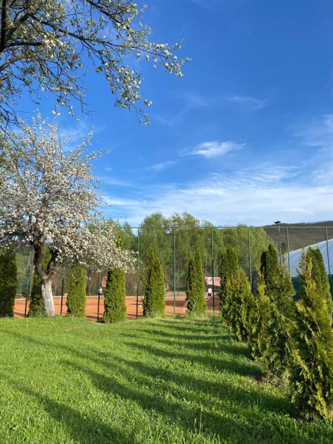 Luna Apartment Novi Pazar Exteriér fotografie